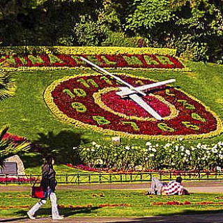 EN VINA DEL MAR